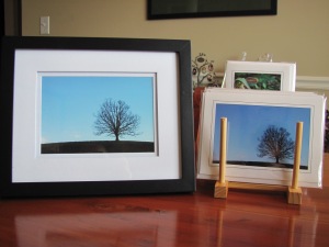 5" x 7" Blank Photo Cards 4" x 6" Framed Prints
