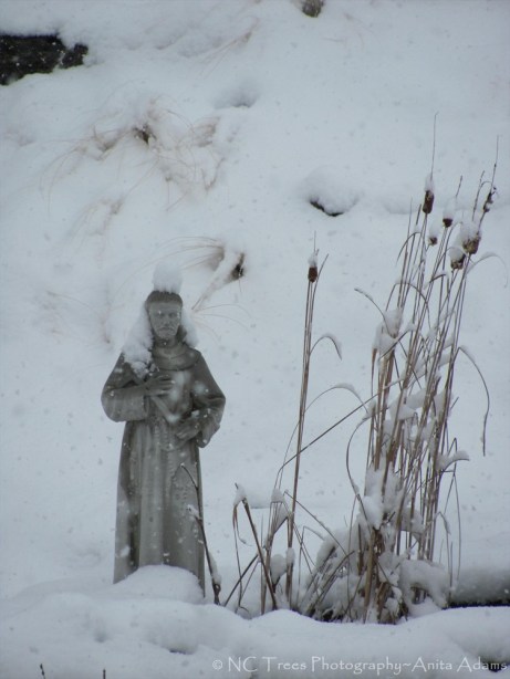 St. Francis in the Snow