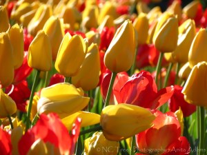 Reaching for the Light