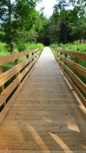 Boardwalk Beaver Lake