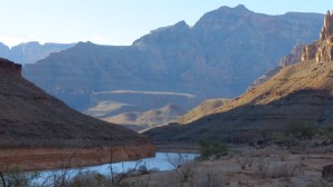 Grand Canyon and the Colorado River by: Anita Adams of @NCTreesPhotography.
