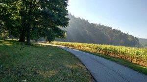 September Walk by Anita Adams NC Trees Photography