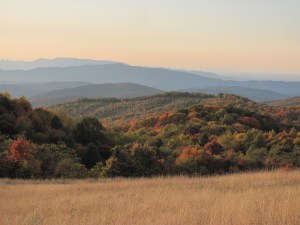 Autumn in the Smokies by Anita Adams of NC Trees Photography