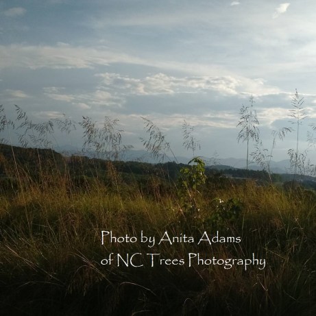 Signed - Sunset at 101