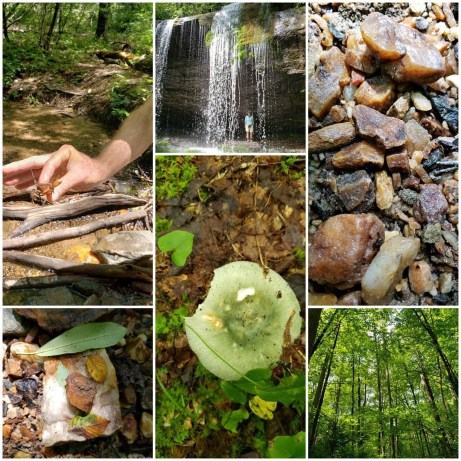 Little Switzerland Tree Therapy